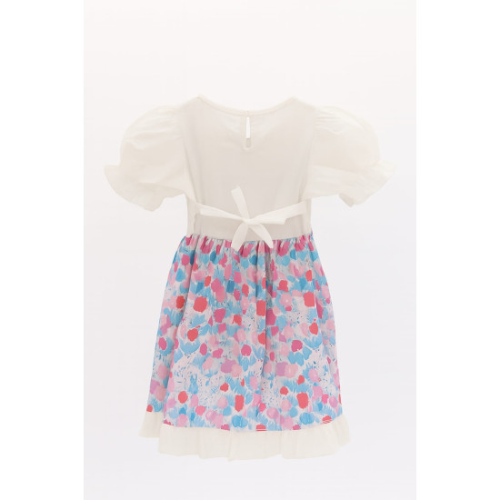 Girls Blue and Pink Dress