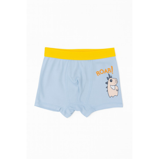 Boys Underwear Set of 4 Pcs