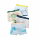 Boys Underwear Set of 4 Pcs