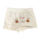 Girls Underwear Set of 4 Pcs