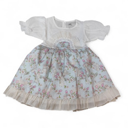 Girls Green and Gray Dress