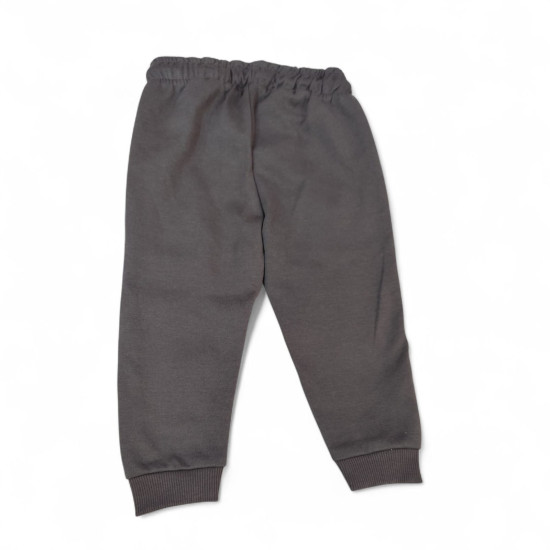 Babyboys Gray Pants