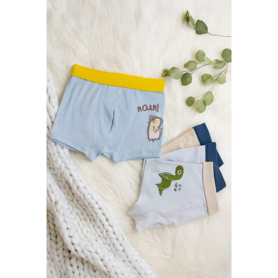 Boys Underwear Set of 4 Pcs