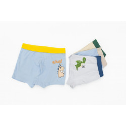 Boys Underwear Set of 4 Pcs