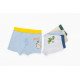 Boys Underwear Set of 4 Pcs